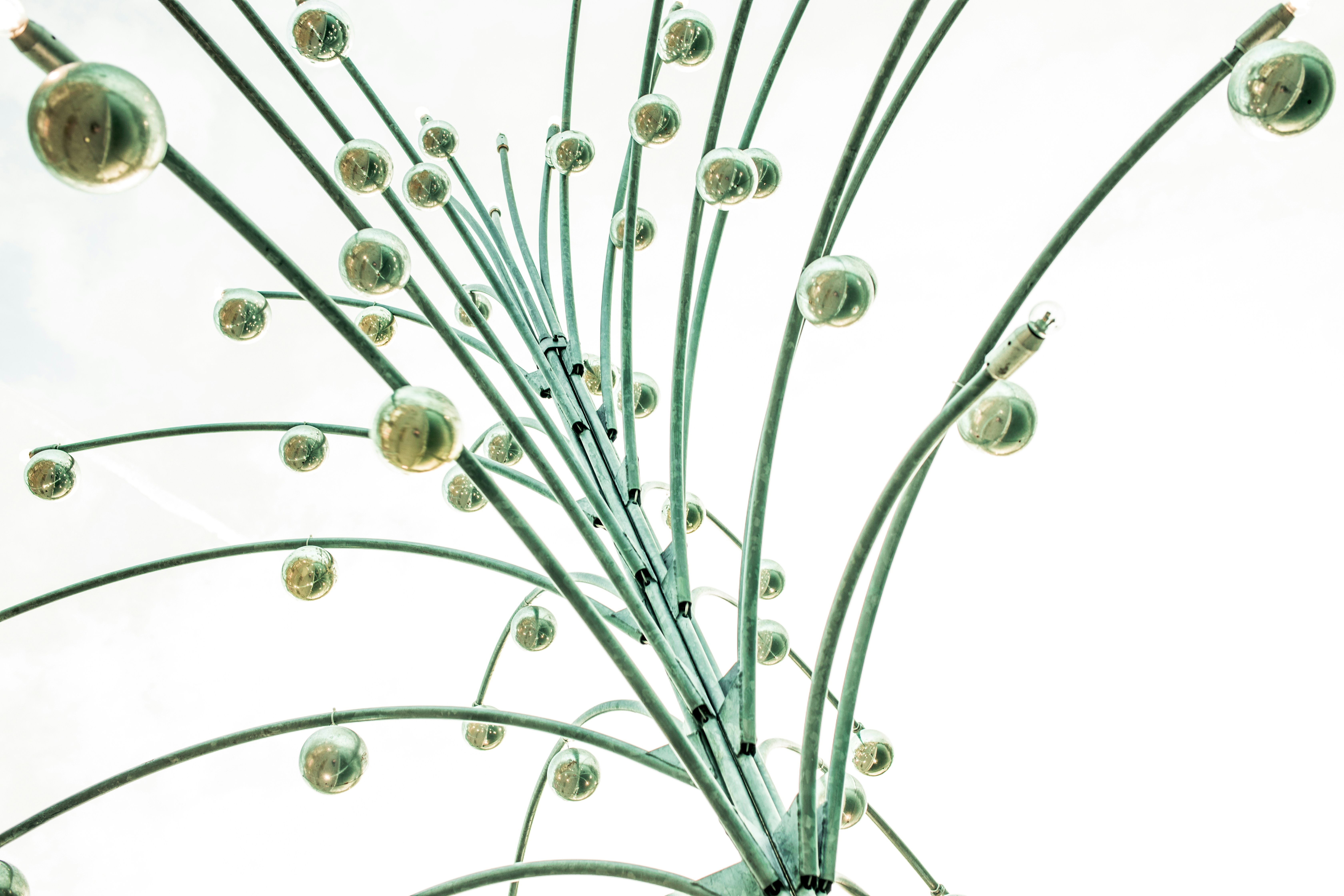 Photo by basilsamuellade