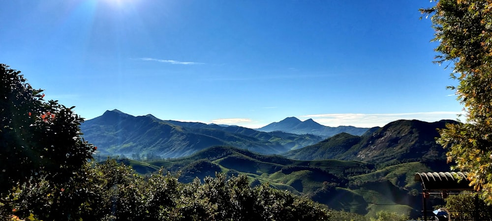 green trees and mountains under blue sky during daytime