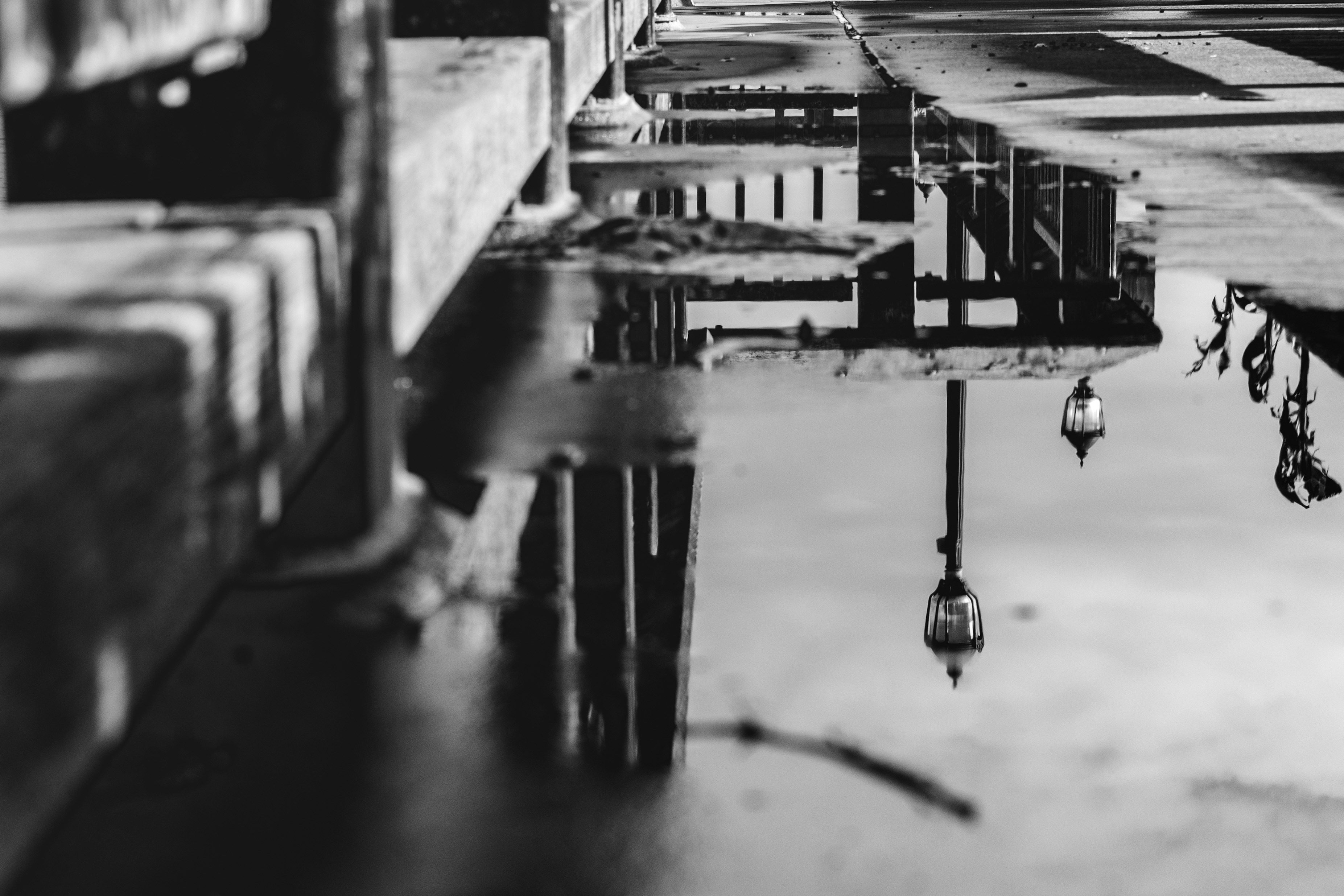 Photo by avillaalegria