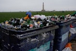 Overfilled recycling bins are filled with various glass bottles, cans, and other waste items placed in a park area with a monument visible in the background. The setting appears overcast, contributing to a somber atmosphere.
