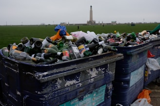 Overfilled recycling bins are filled with various glass bottles, cans, and other waste items placed in a park area with a monument visible in the background. The setting appears overcast, contributing to a somber atmosphere.
