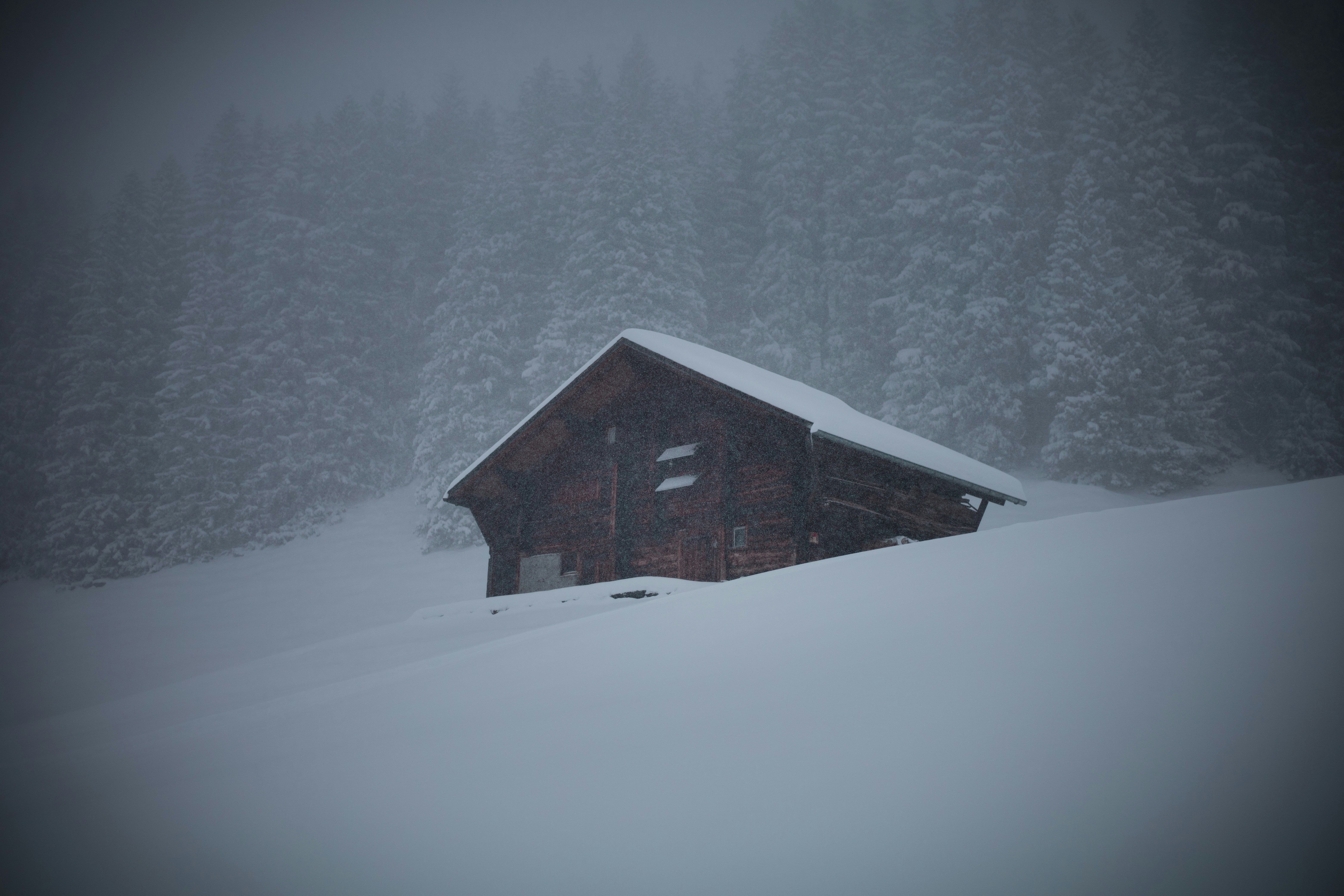 brown wooden house on snow covered ground, a house covered with snow in the swiss alps
