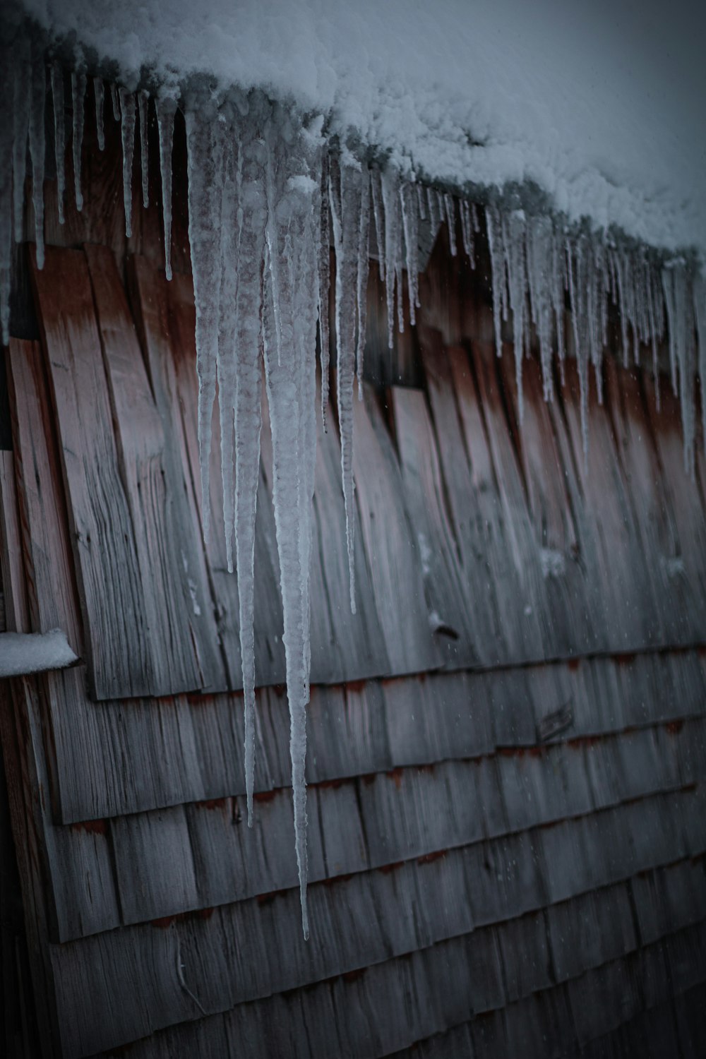 brown wooden fence during daytime