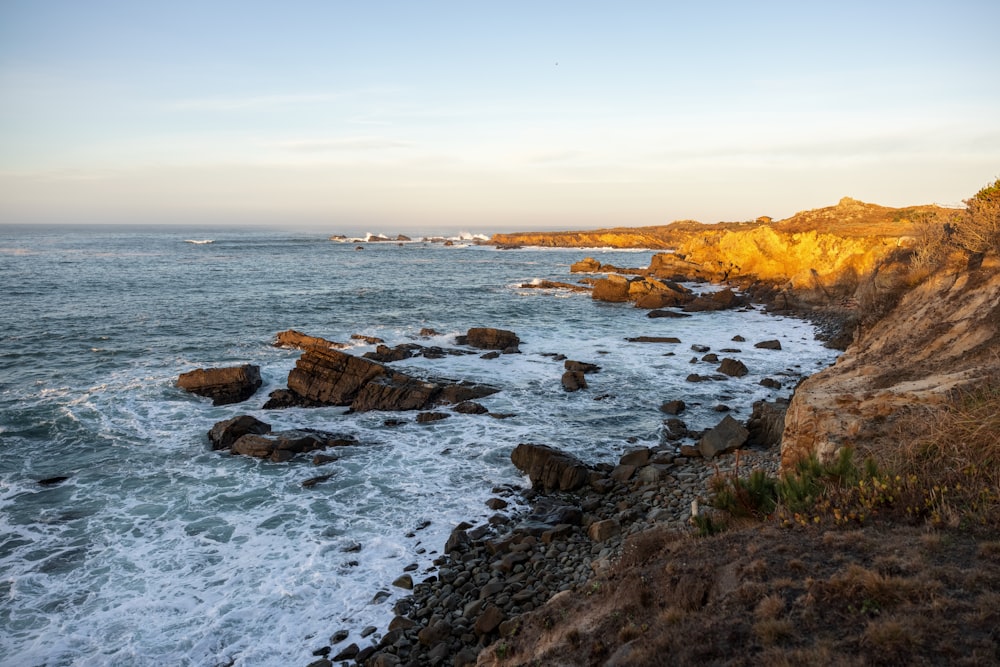 brown rocky shore during daytime