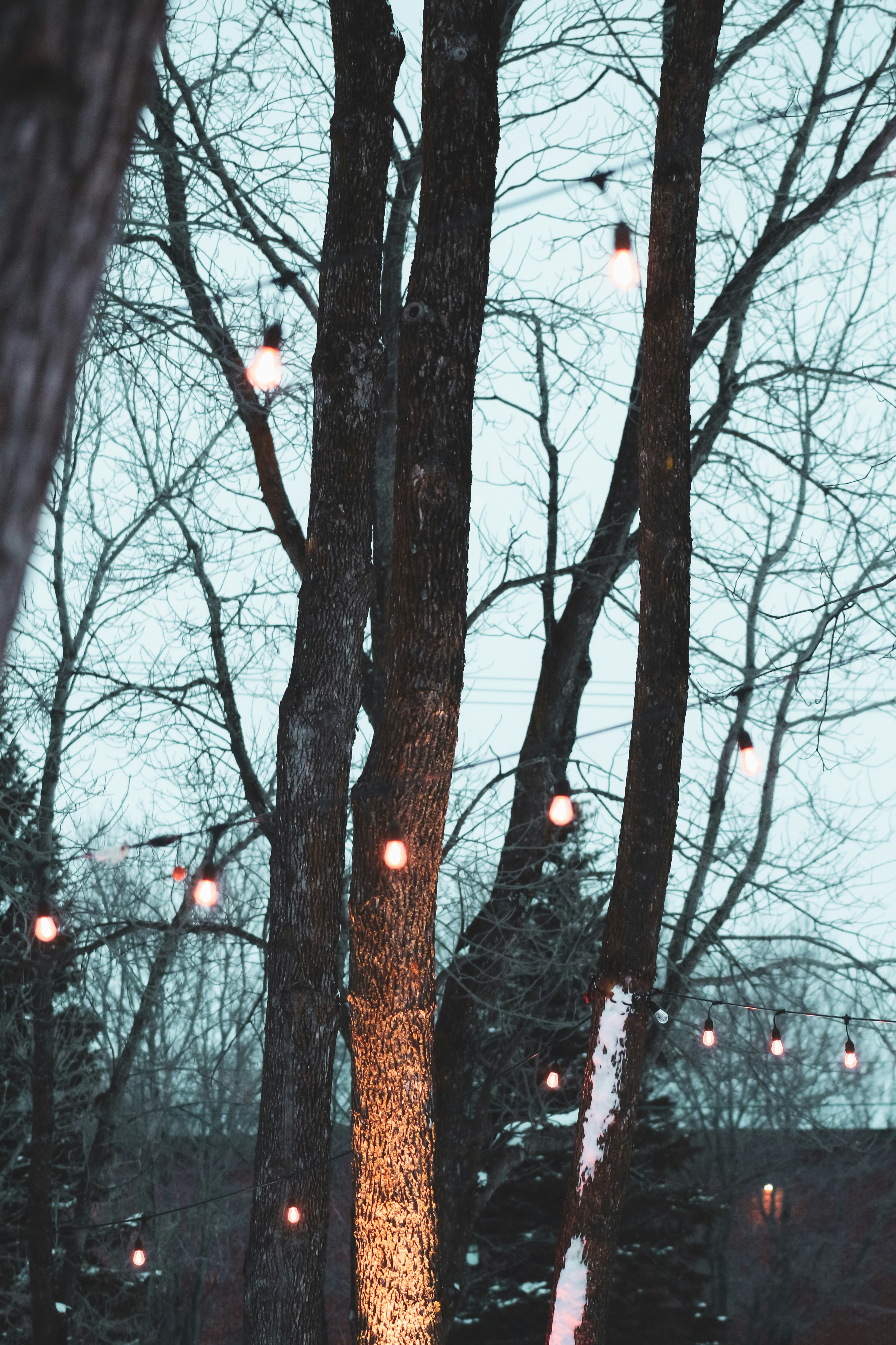 Beacons banner for @lurking