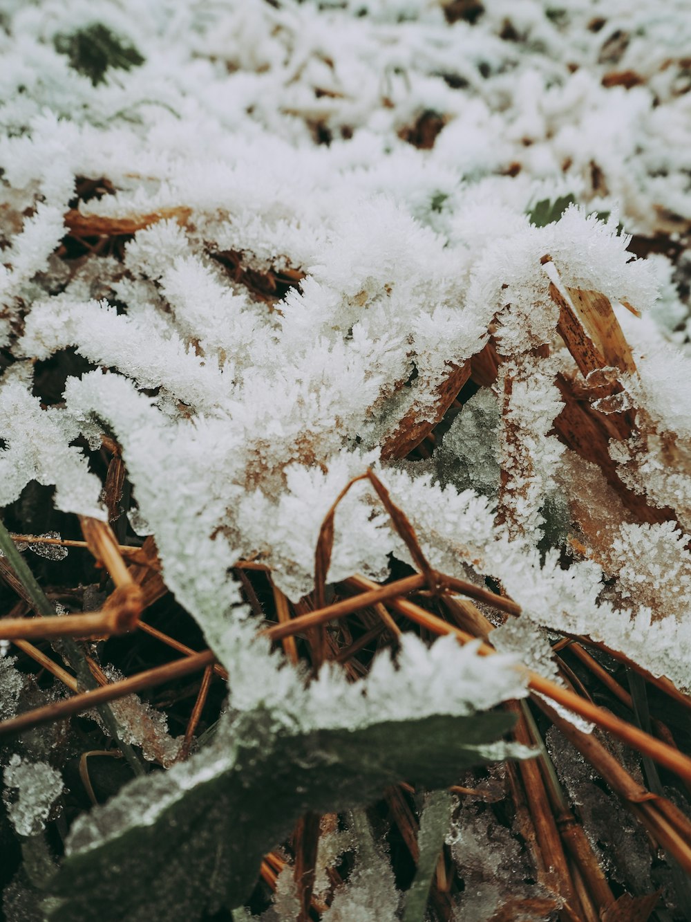 brown wooden fence covered with snow