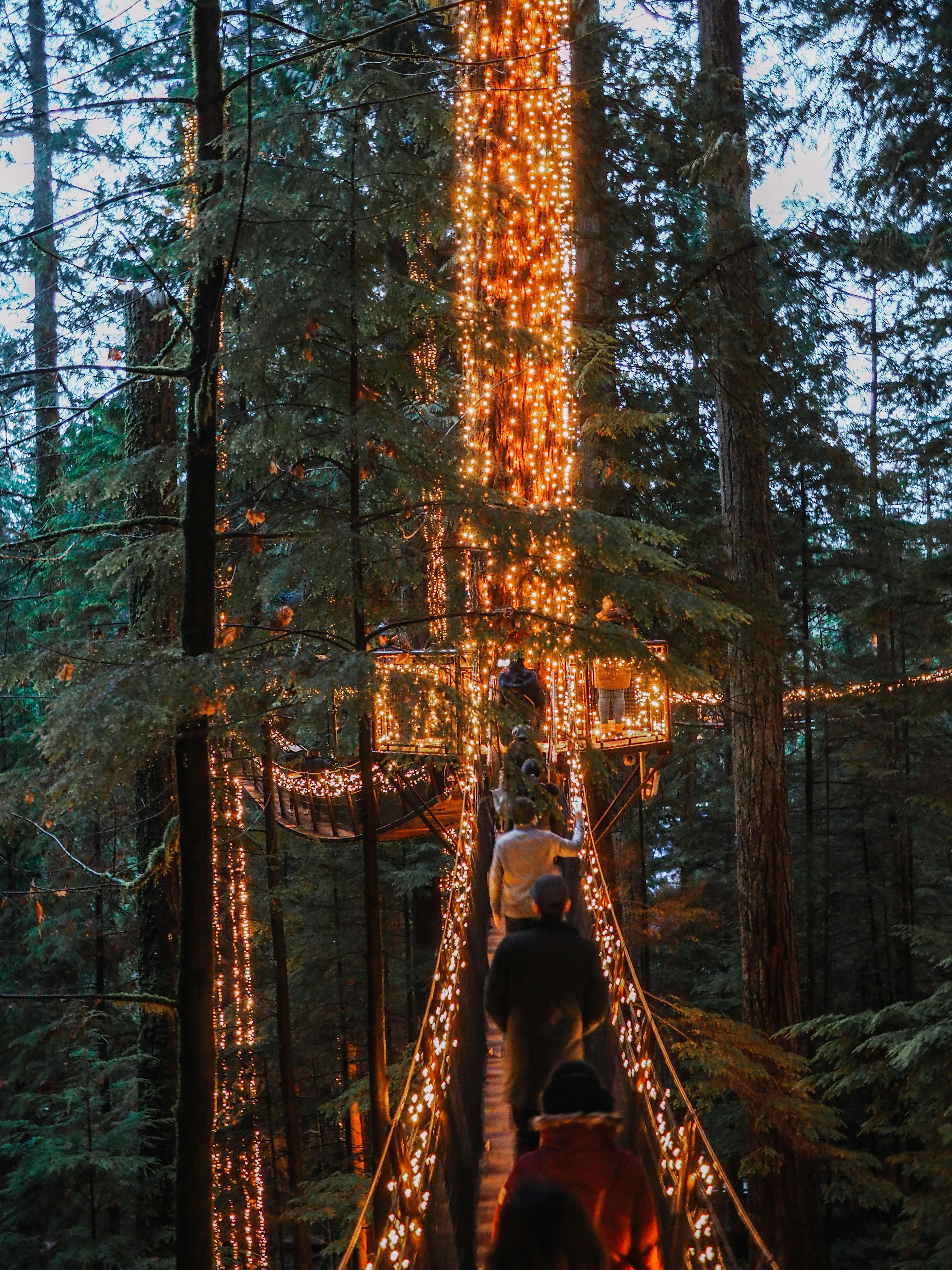 Capilano Suspension Bridge illuminated with festive lights, with people walking across at night. Vancouver, Canada. Photo by Alice Davies on Unsplash.