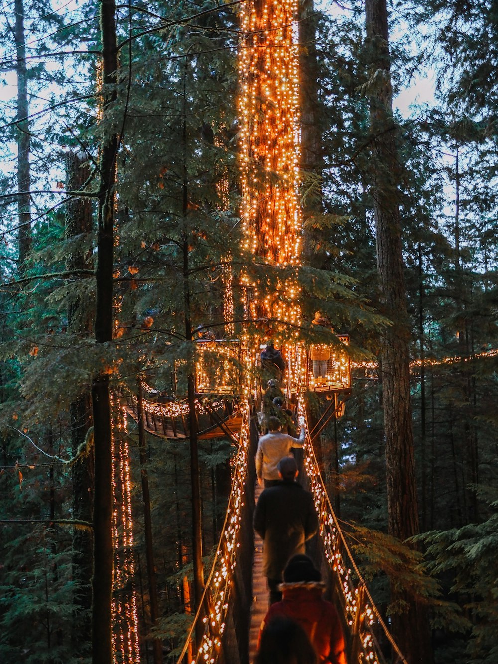 woman in blue dress standing on brown rock in forest during daytime