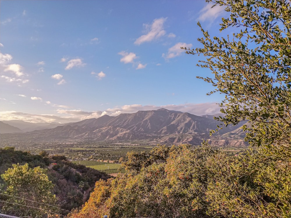 green trees and mountains under blue sky during daytime