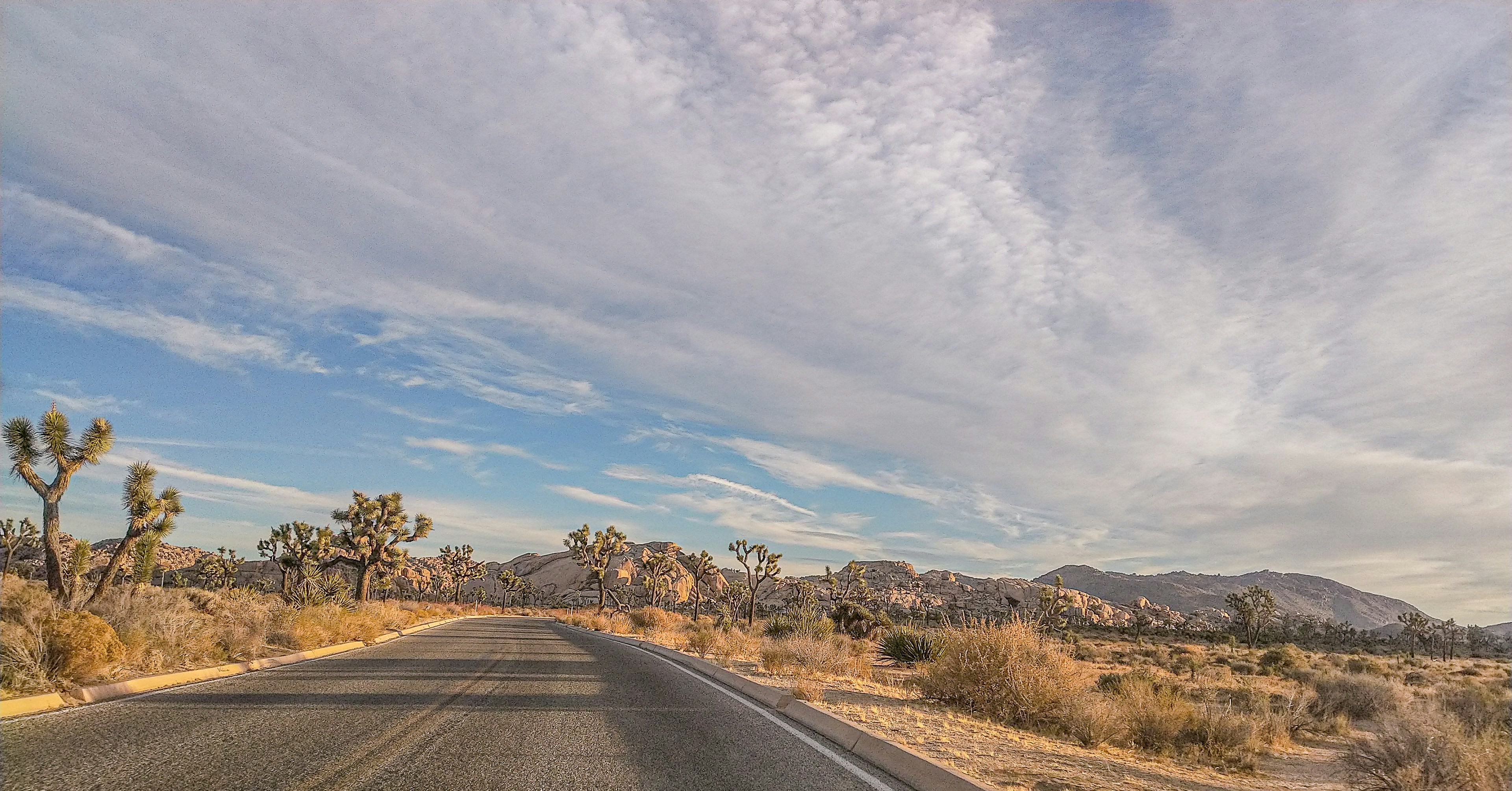 Photo by johannavzender