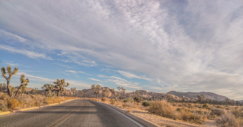 gray asphalt road under gray sky