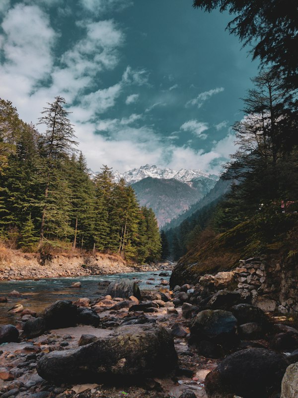 Camping by the Parvati River 🏕️🔥 Nothing beats this! #Kasol #Camping #ParvatiValley