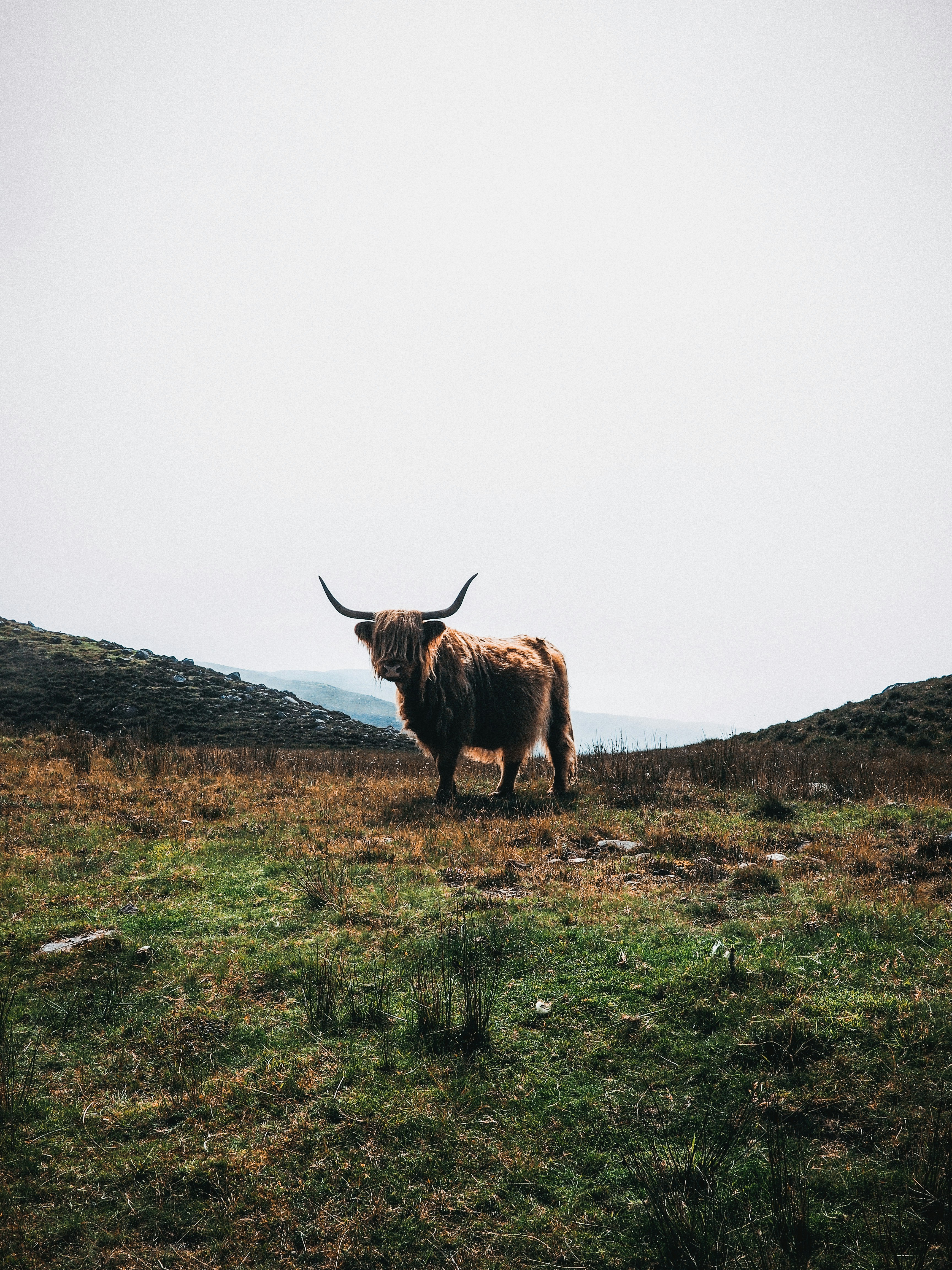 Photo by daviesalice