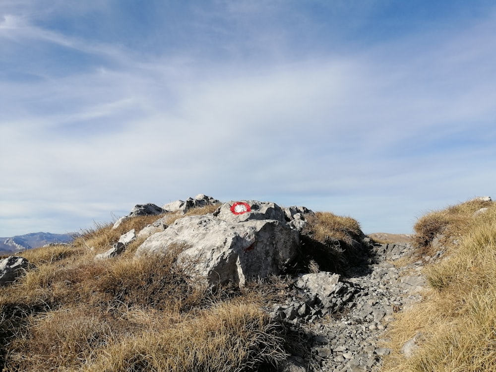 black and red car on gray rocky mountain under blue sky during daytime