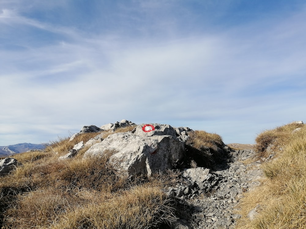 voiture noire et rouge sur la montagne rocheuse grise sous le ciel bleu pendant la journée