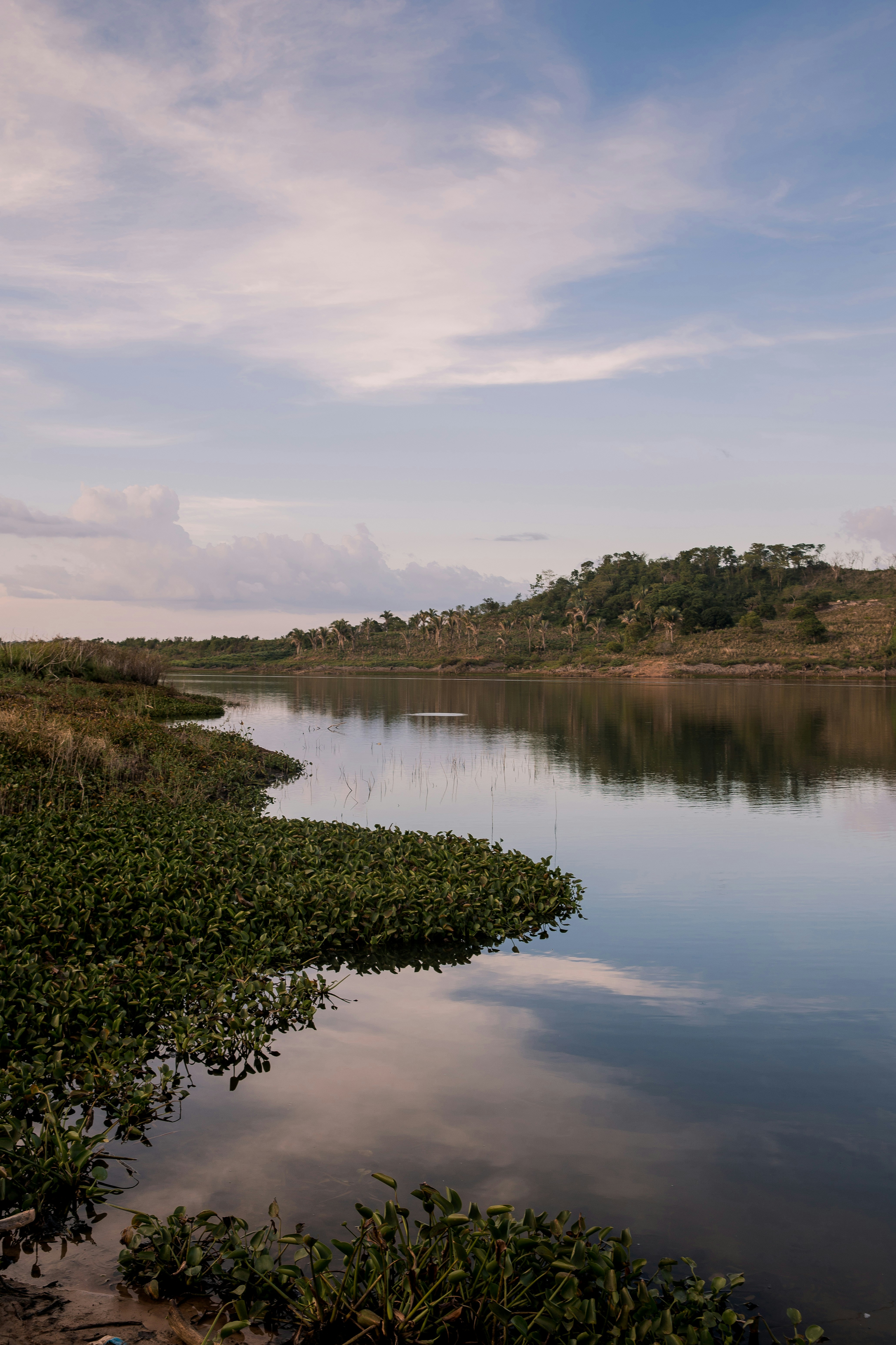 Photo by juniorreisfoto