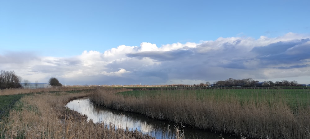 campo de grama verde perto do corpo de água sob o céu azul durante o dia