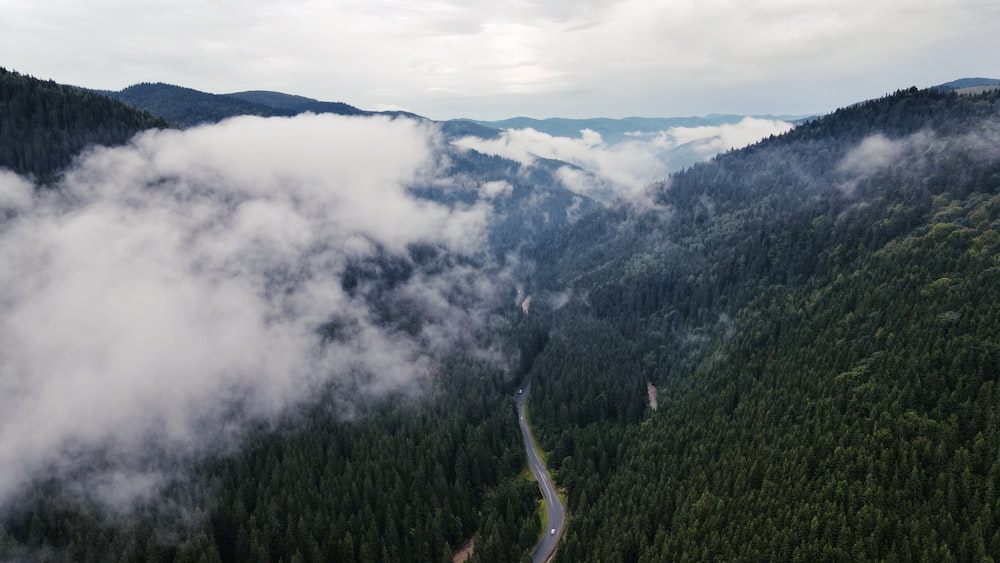 green trees on mountain under white clouds during daytime