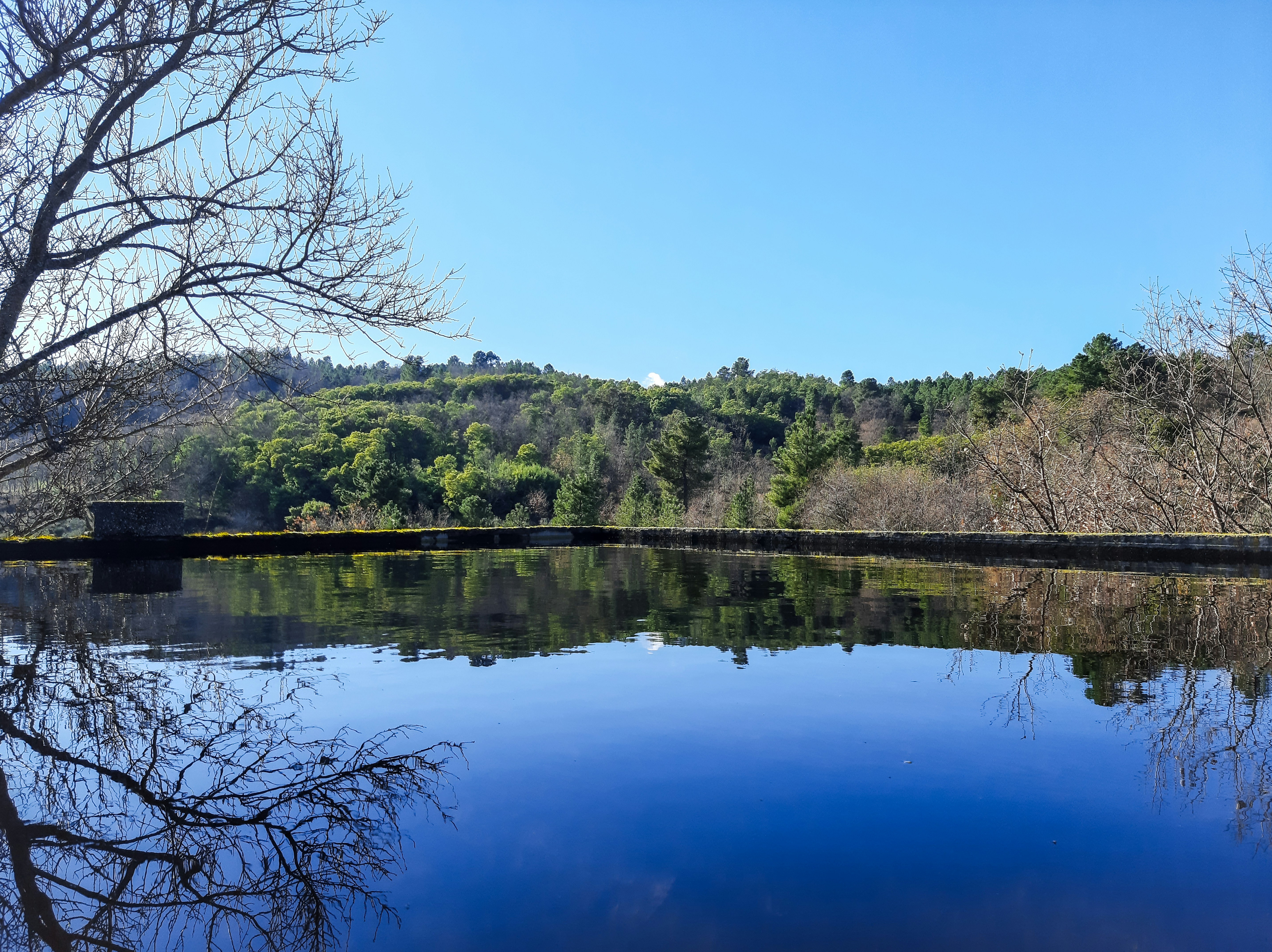 Photo by sofiavilaflor