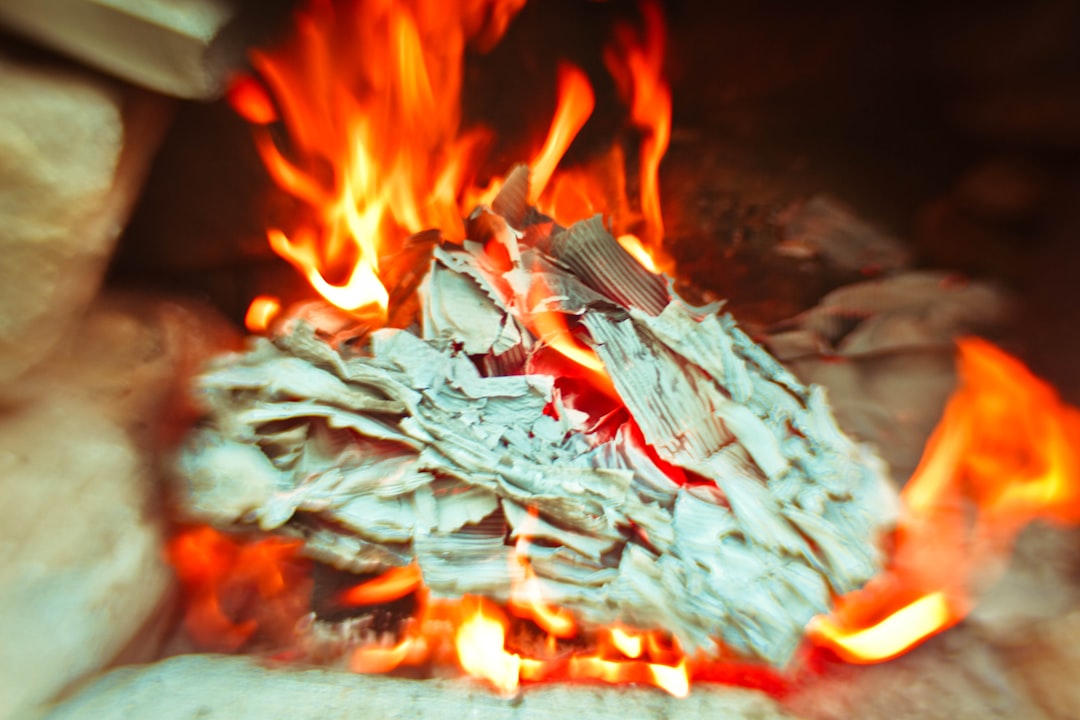 burning wood on fire pit