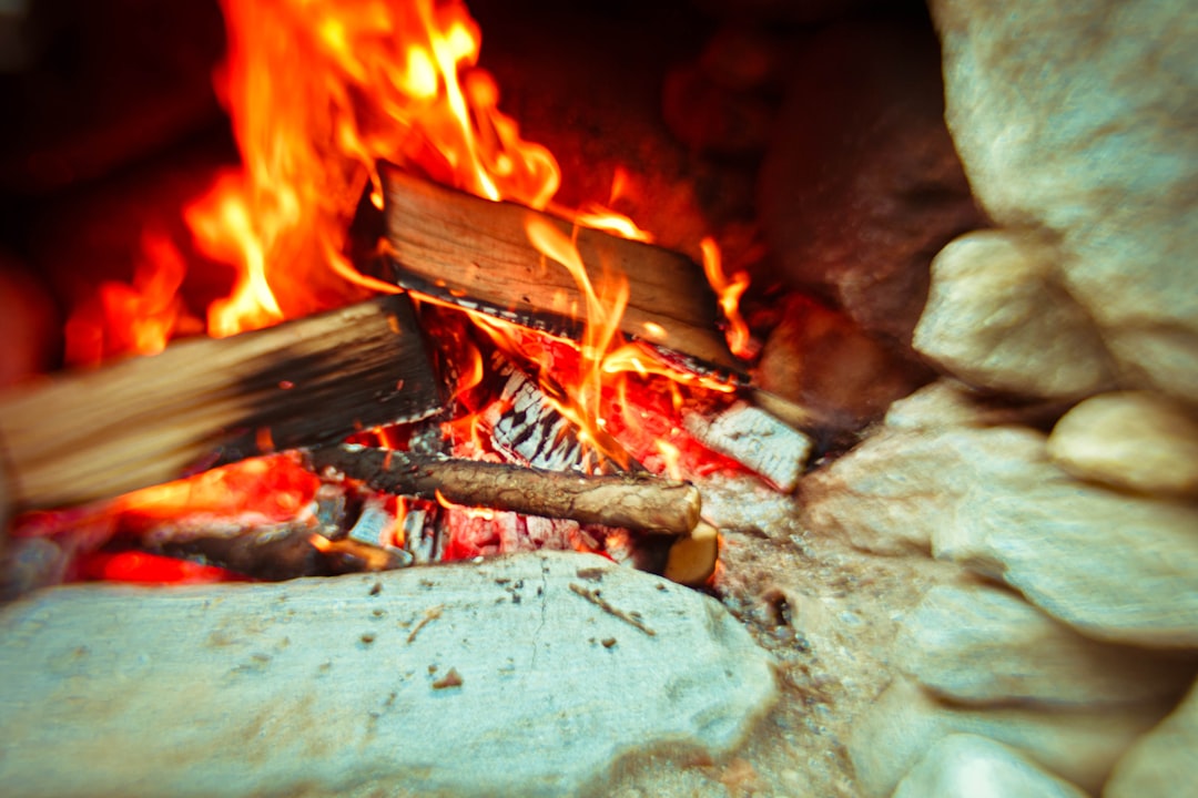 burning wood on fire pit