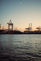 silhouette of crane near body of water during daytime