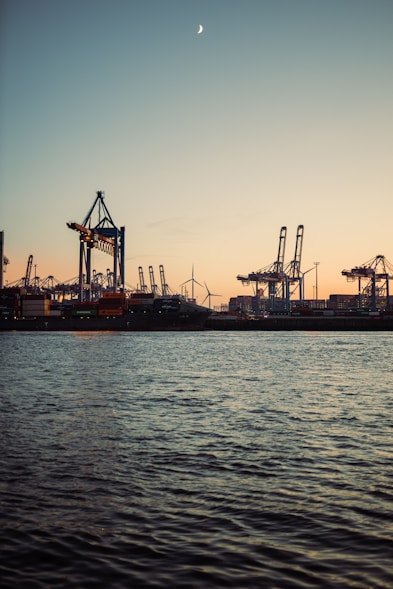 silhouette of crane near body of water during daytime