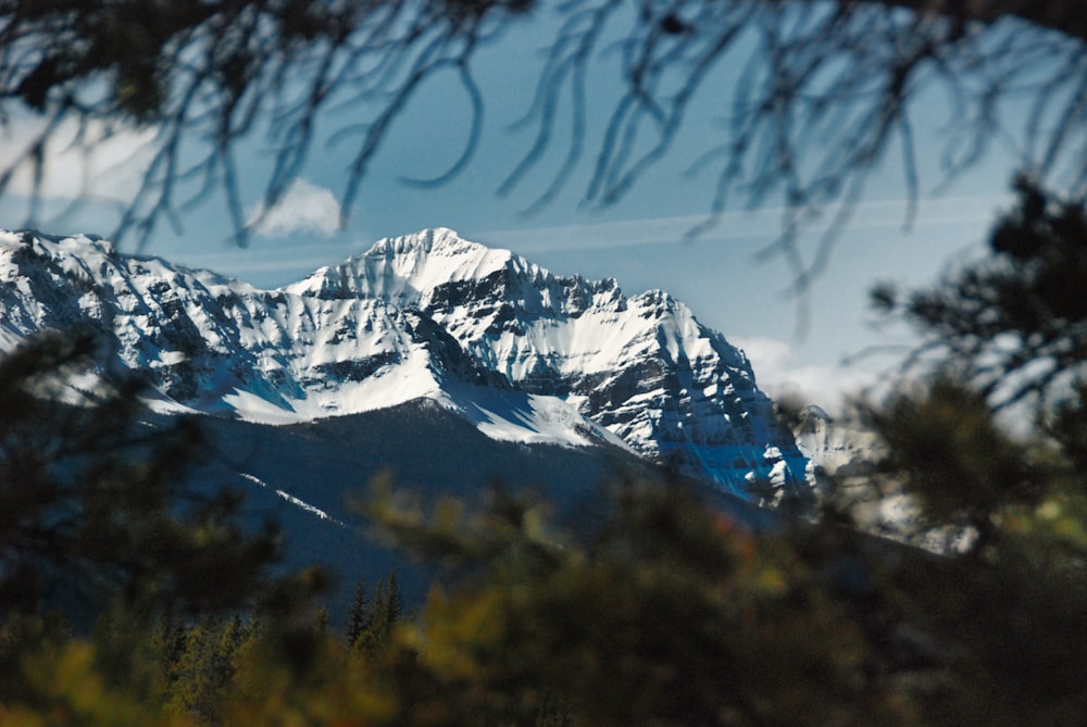 snow covered mountain during daytime