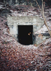 brown wooden ladder on gray concrete wall