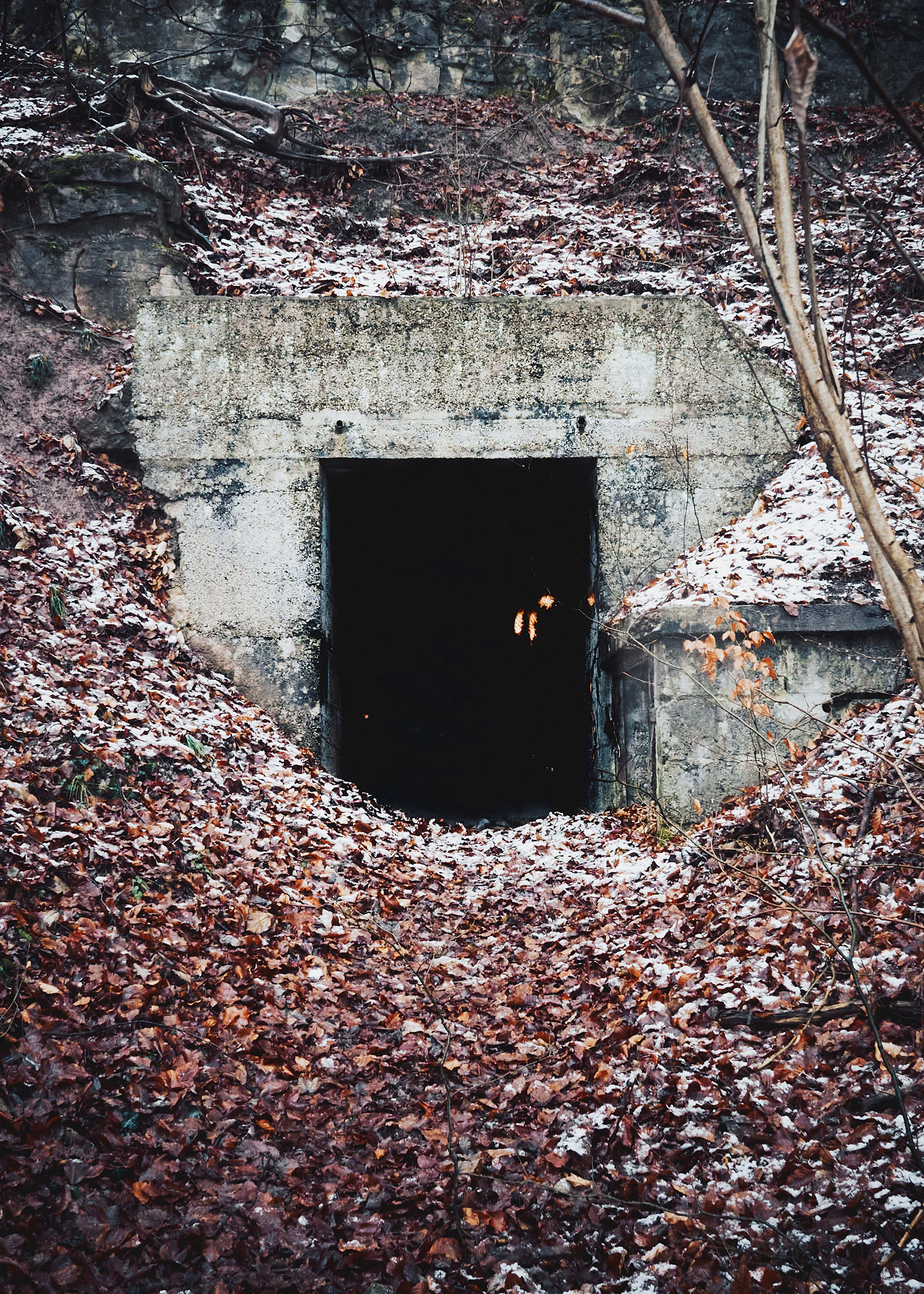 A brown wooden ladder leaning against a grey concrete wall