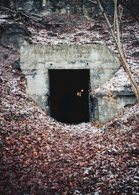 Building Your Bunker | Bugout Bros