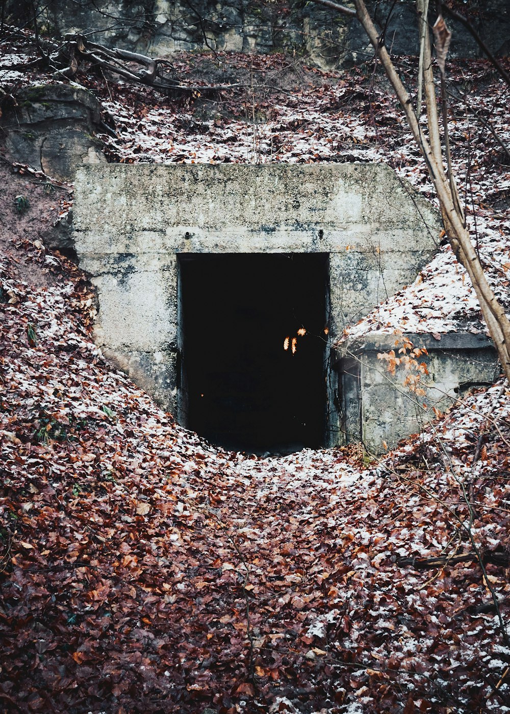 escada de madeira marrom na parede de concreto cinzenta