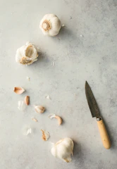 white and brown seashell on gray surface