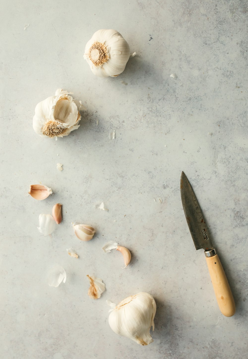 coquillage blanc et brun sur surface grise