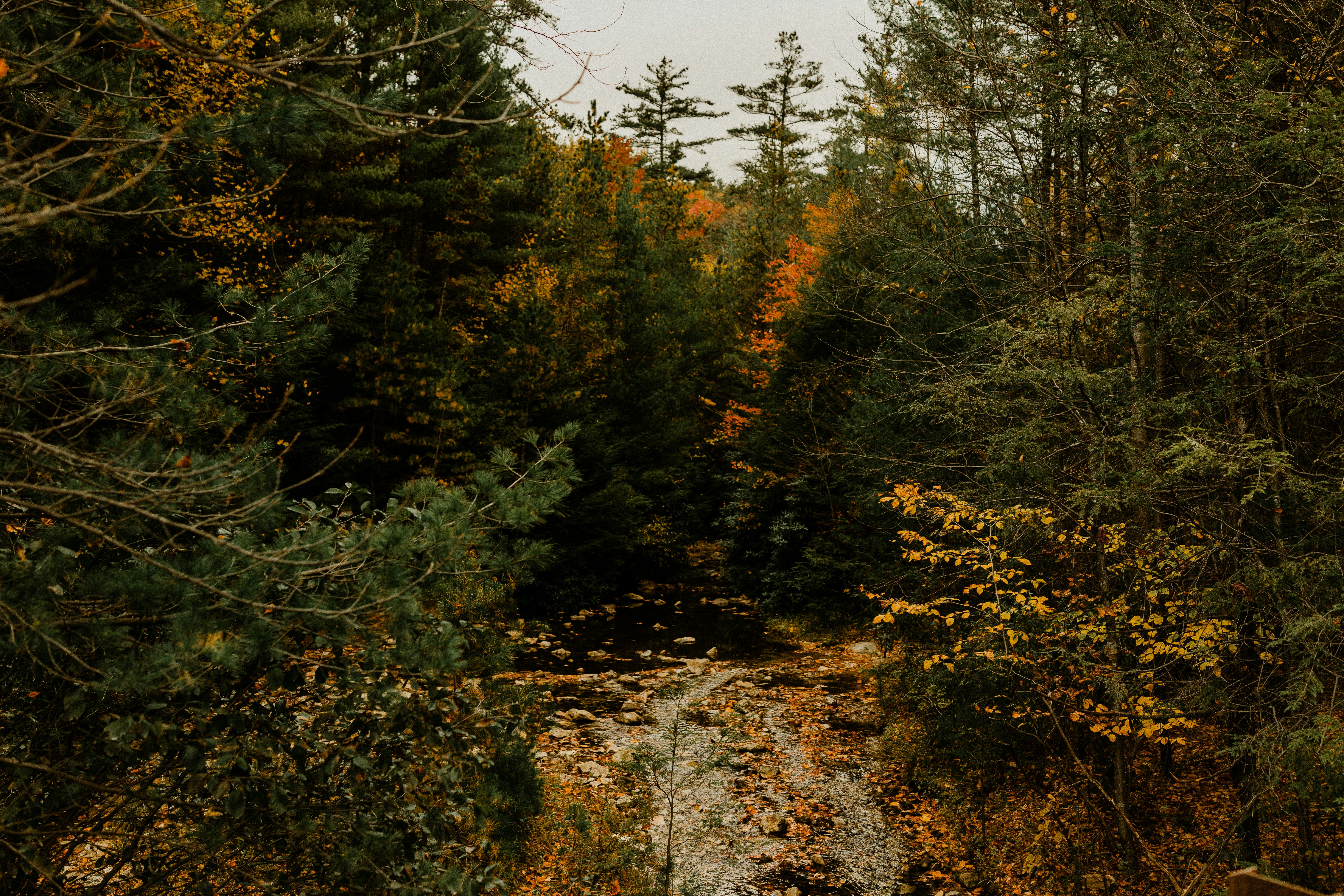 Photo by nomadicnorthco