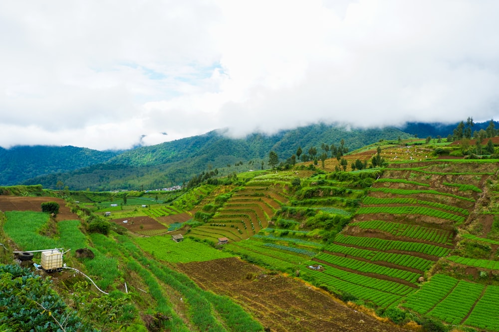 green grass field under white clouds during daytime