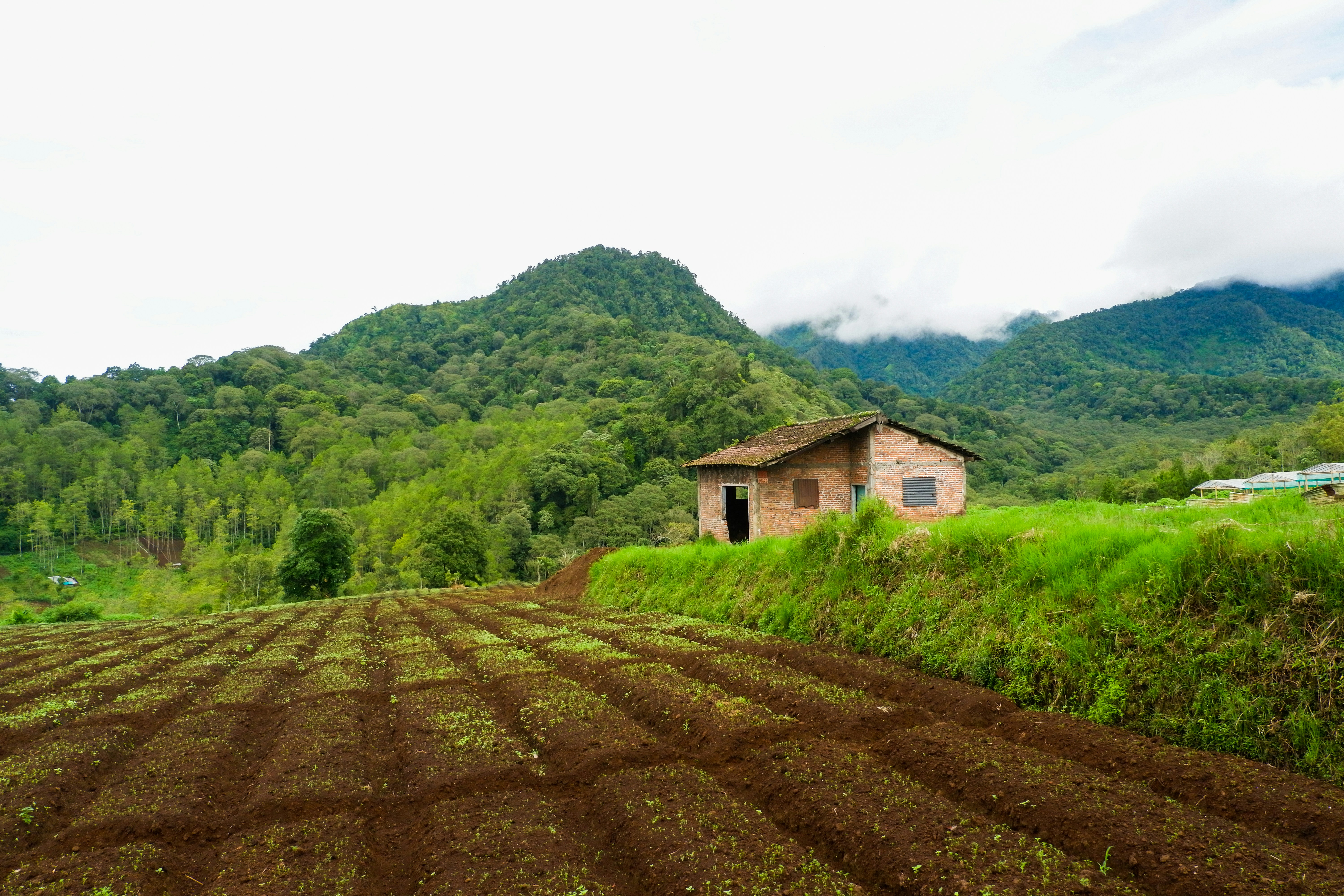 Photo by aldrinrachmanpradana