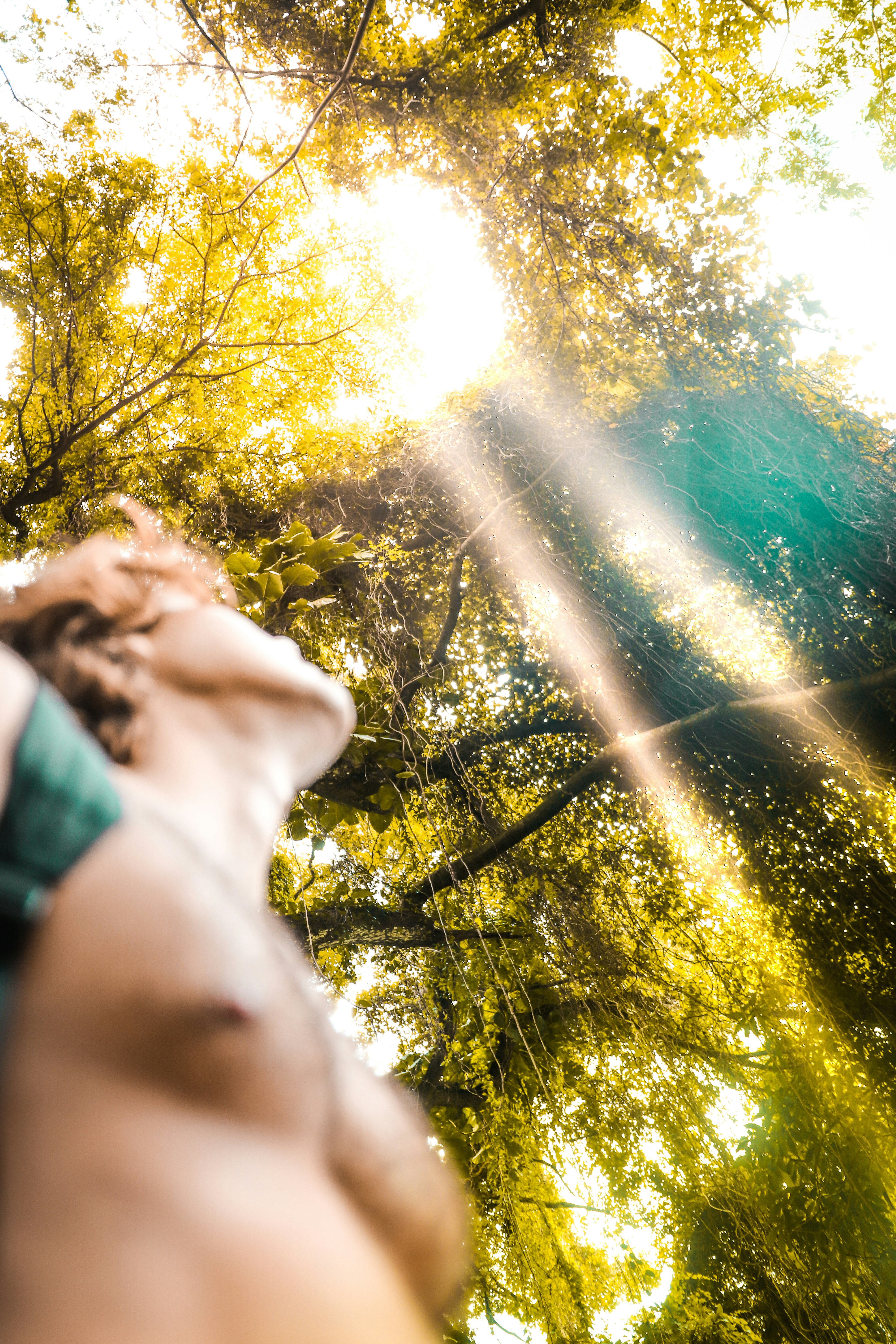 person in green shirt and black pants standing near green trees during daytime