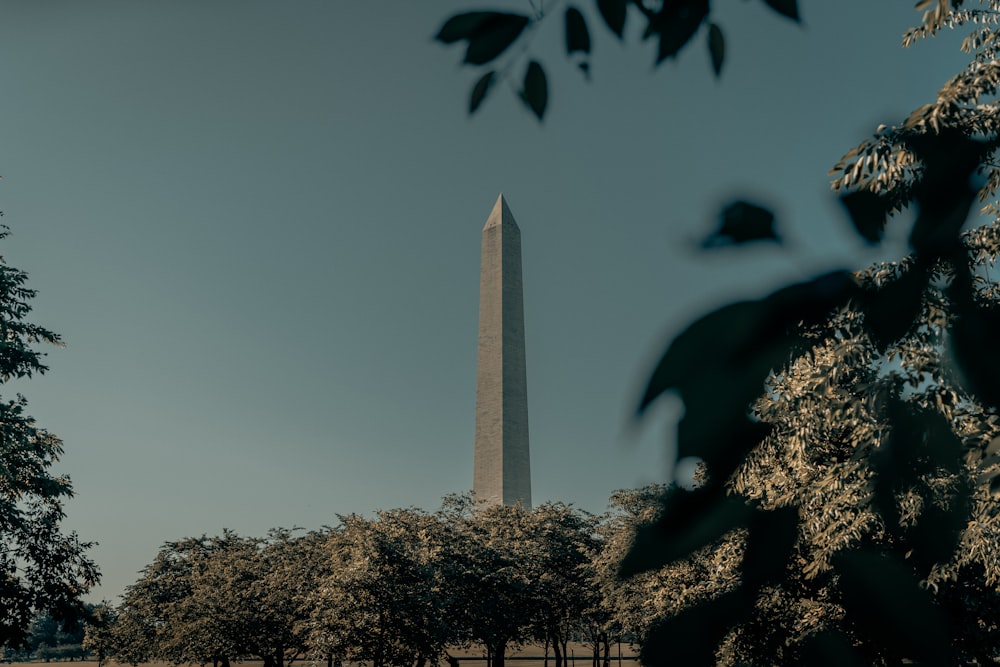 워싱턴 기념비 낮 동안의 워싱턴 DC