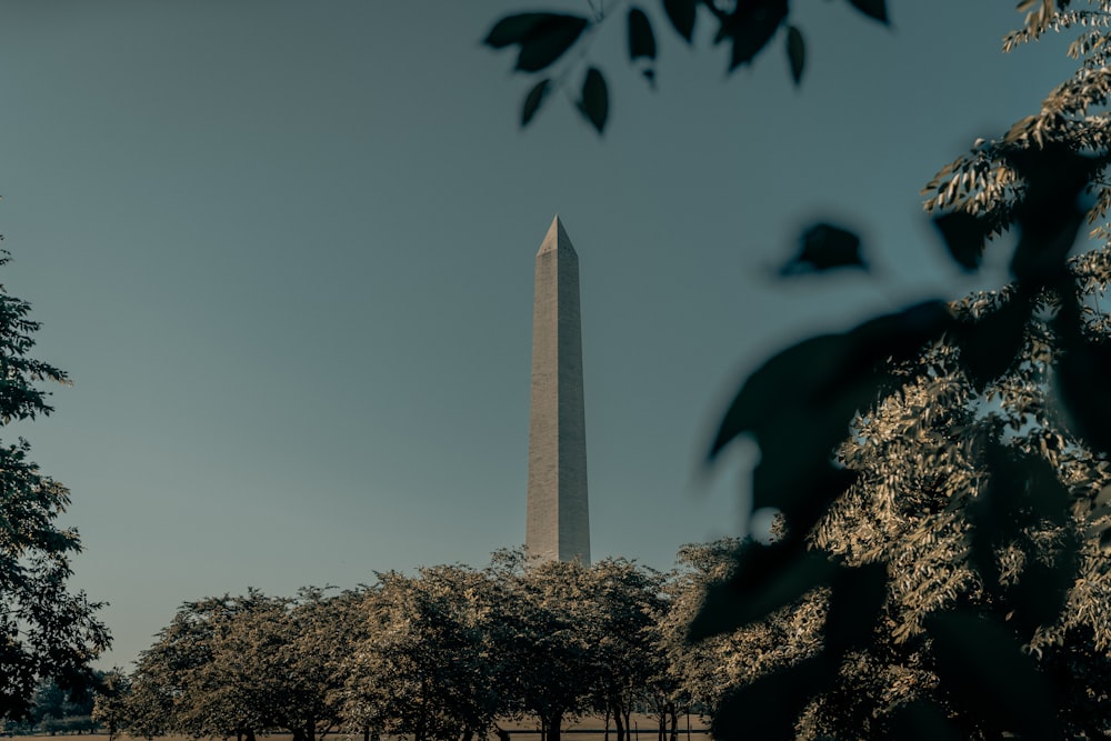 Washington Monument Washington DC tagsüber