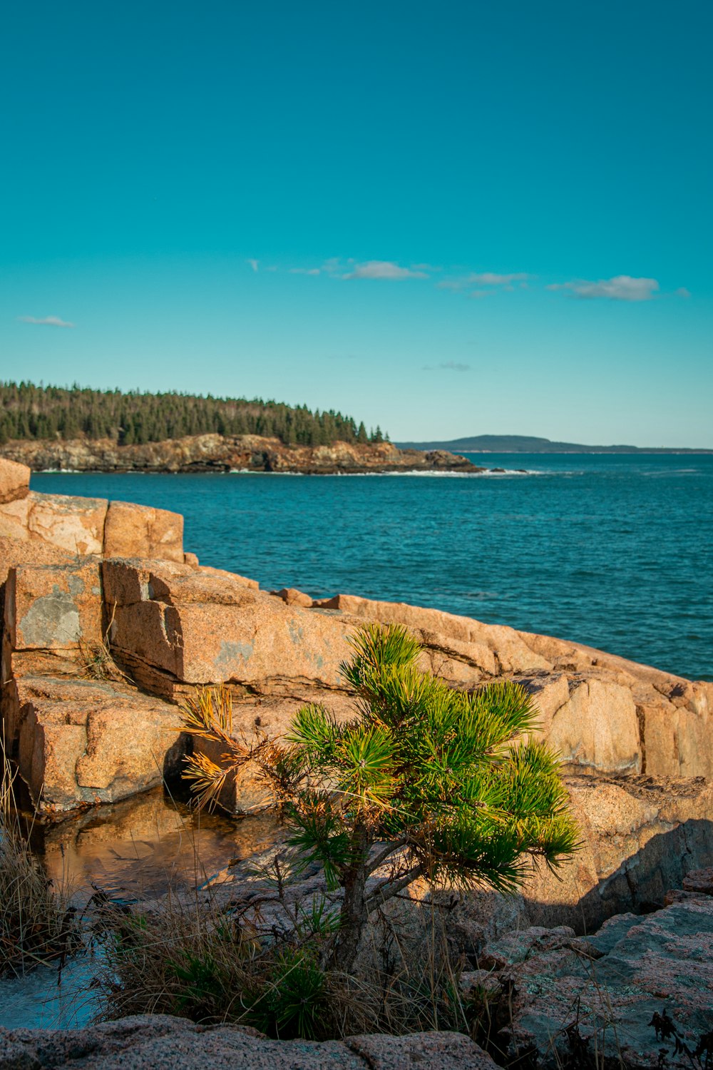 brown rock formation near body of water during daytime