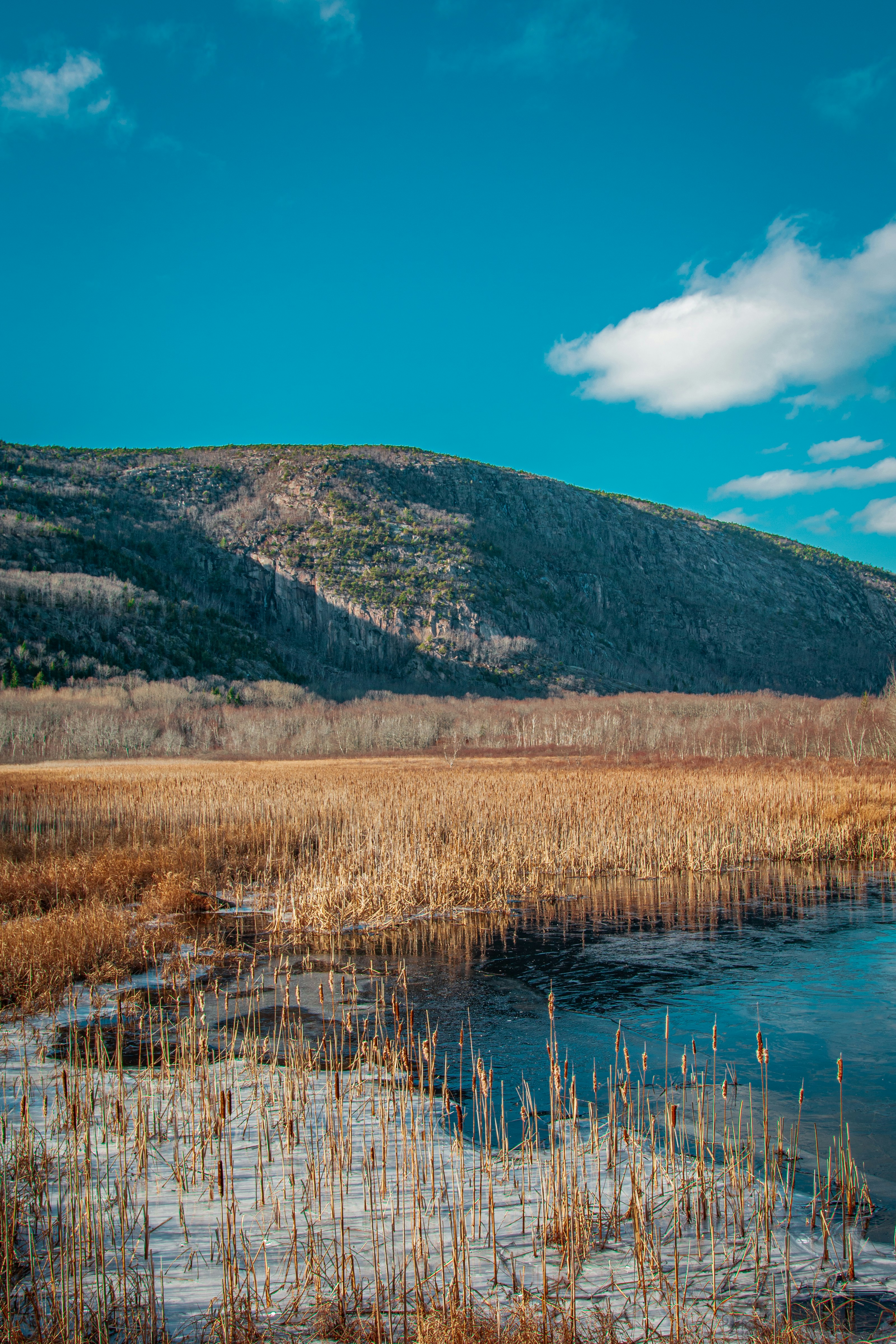 brown grass near lake and mountain under blue sky during daytime