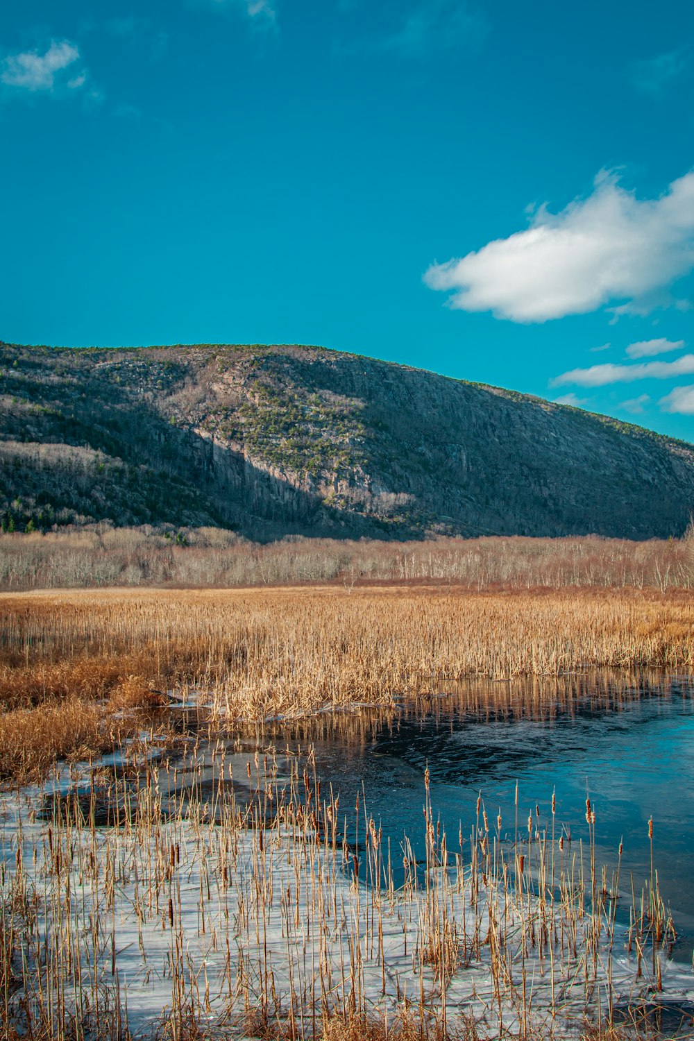 brown grass near lake and mountain under blue sky during daytime