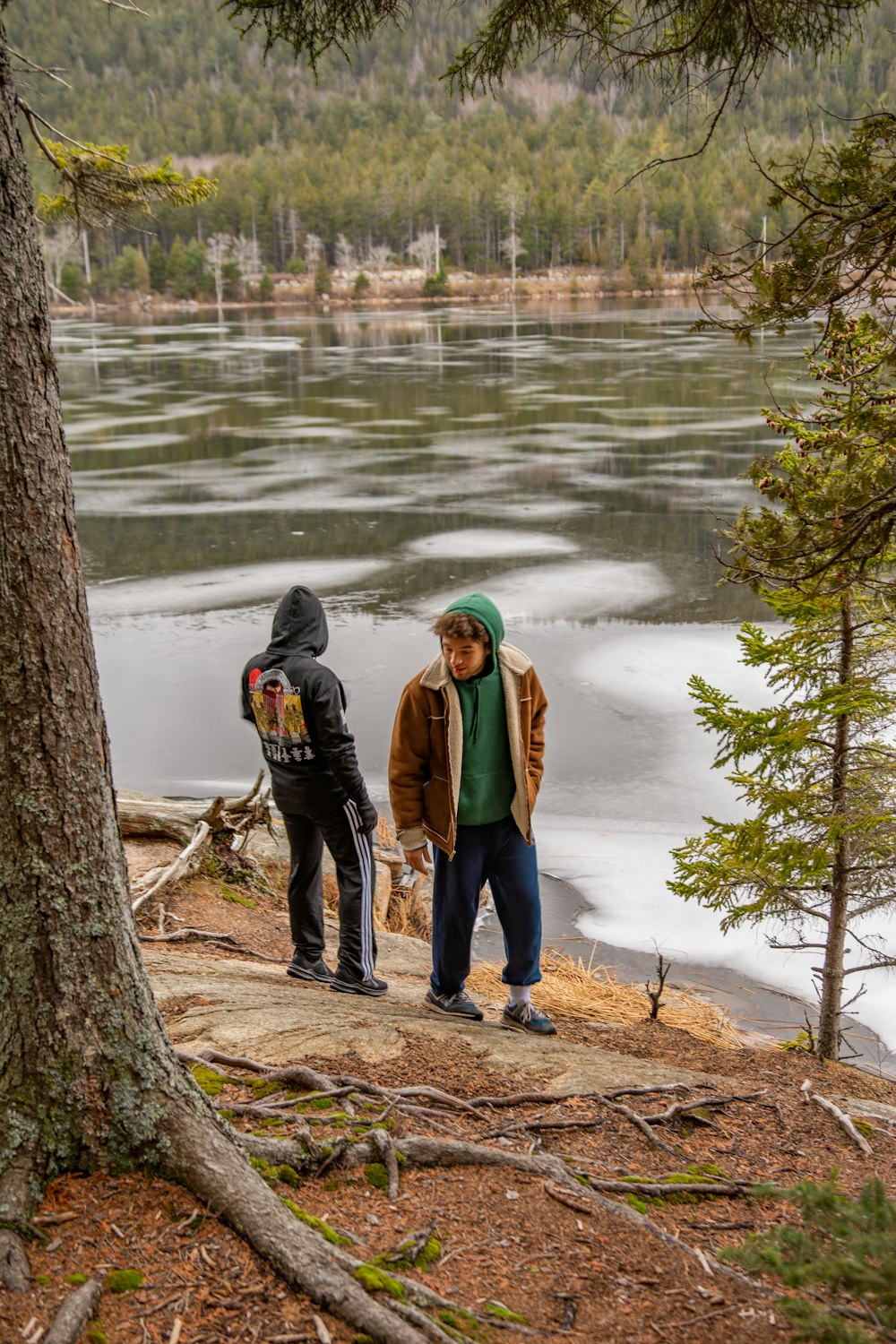 낮 동안 호수 근처의 갈색 나무 통나무에 서 있는 녹색 재킷을 입은 남자
