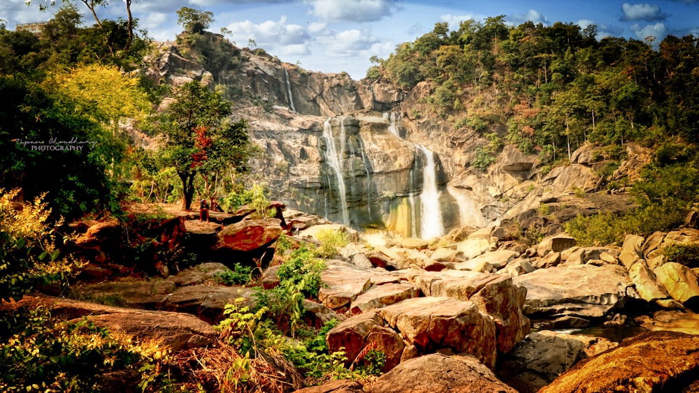 Cascadas en medio del bosque durante el día