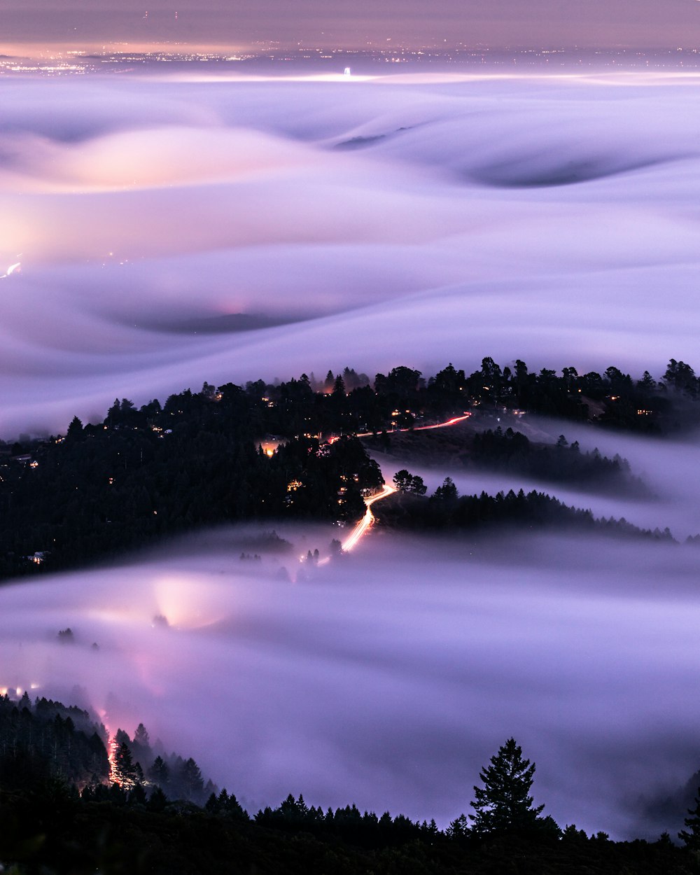 green trees on mountain covered with clouds