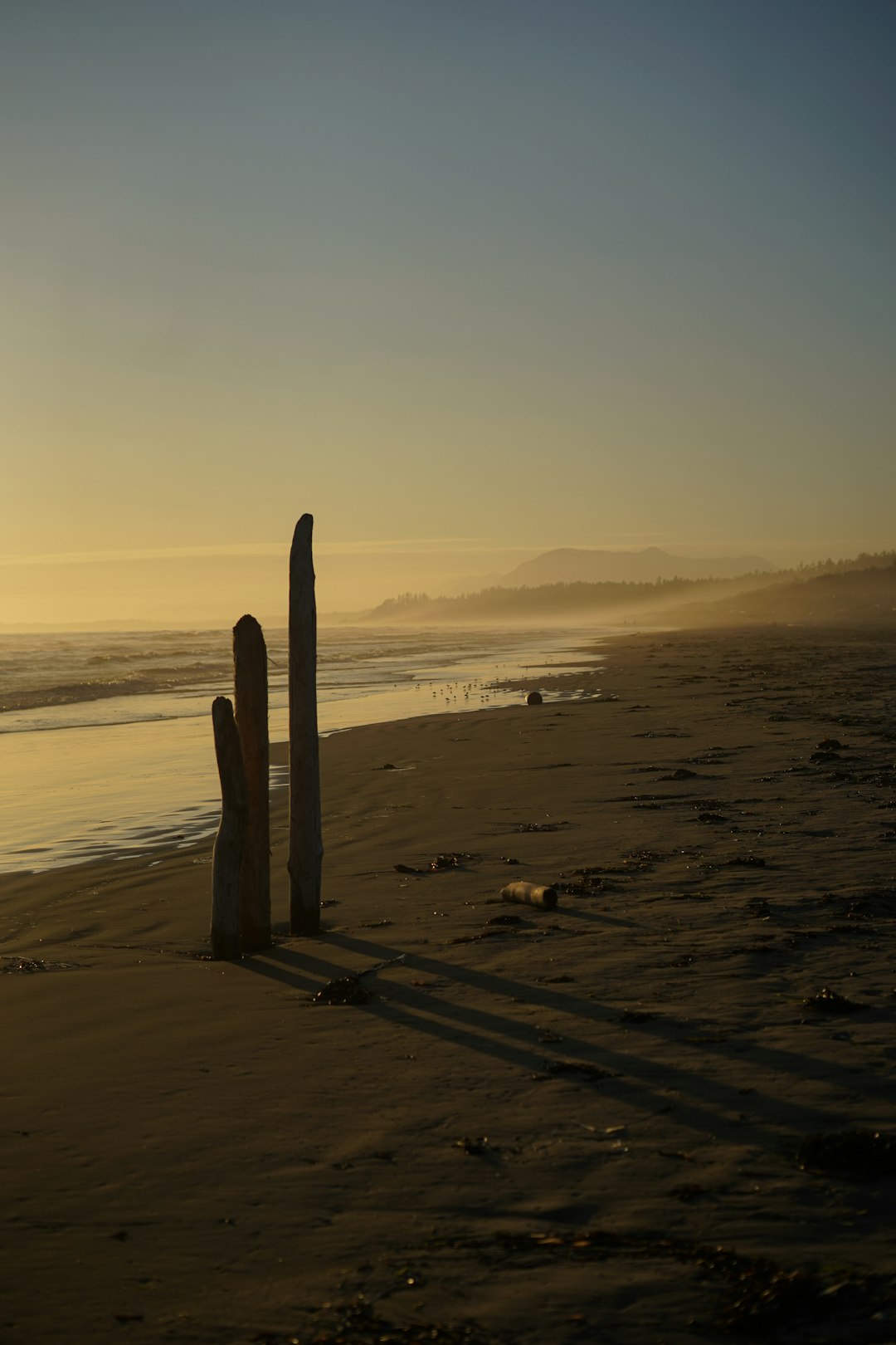 brown wooden stand on beach during sunset