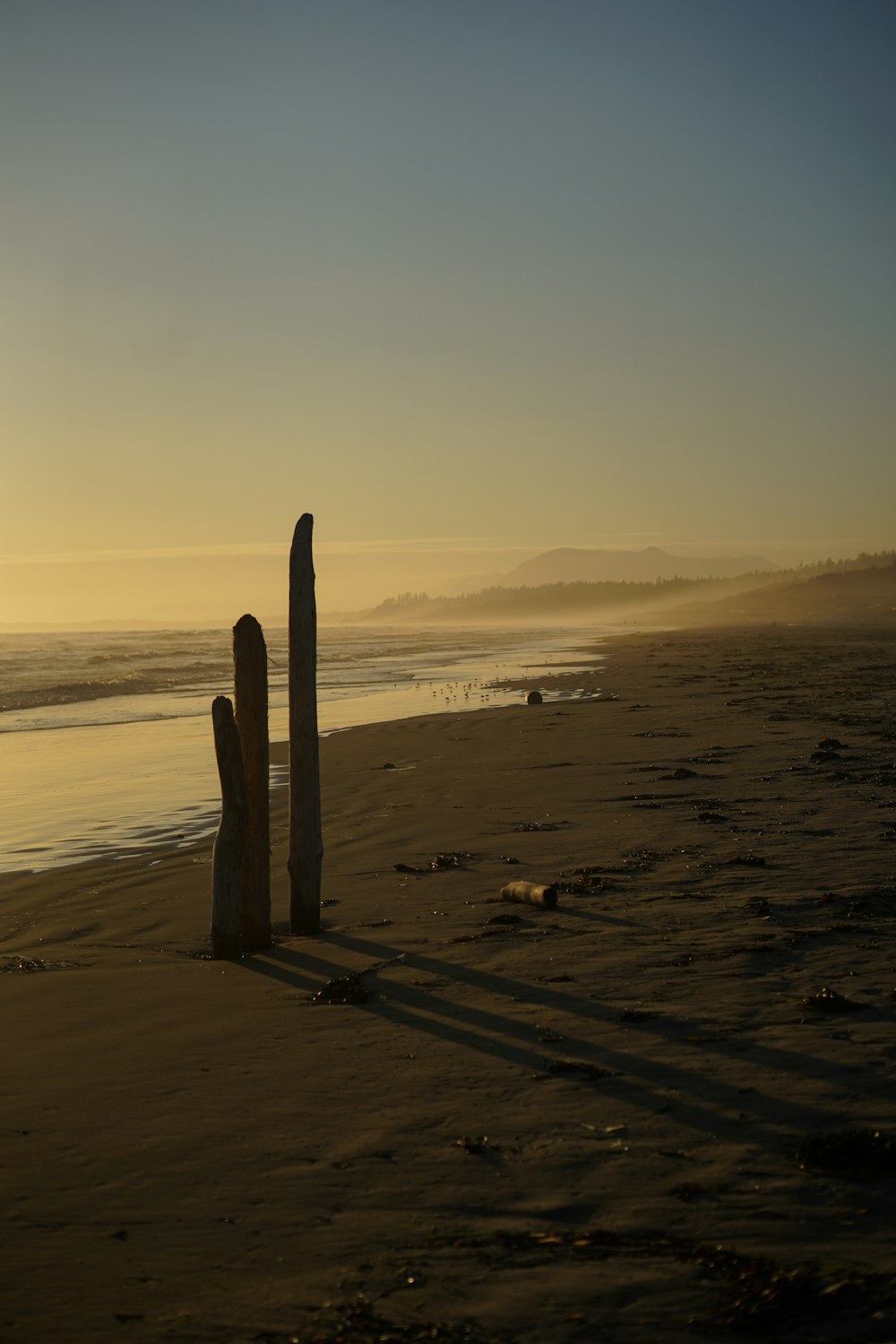 brown wooden stand on beach during sunset