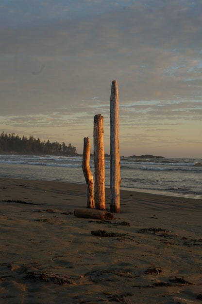 brown wooden stand on beach during daytime