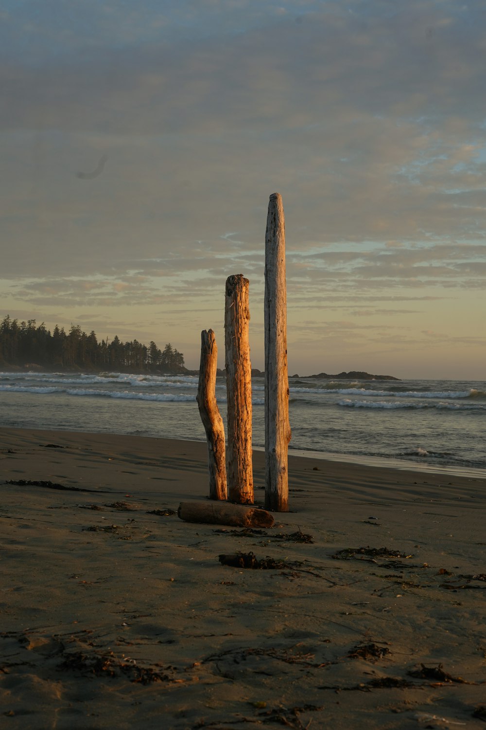 brown wooden stand on beach during daytime